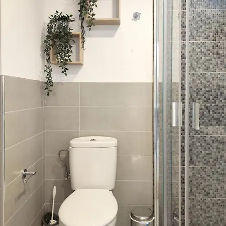 Borinquen Charming And Modern Apartament